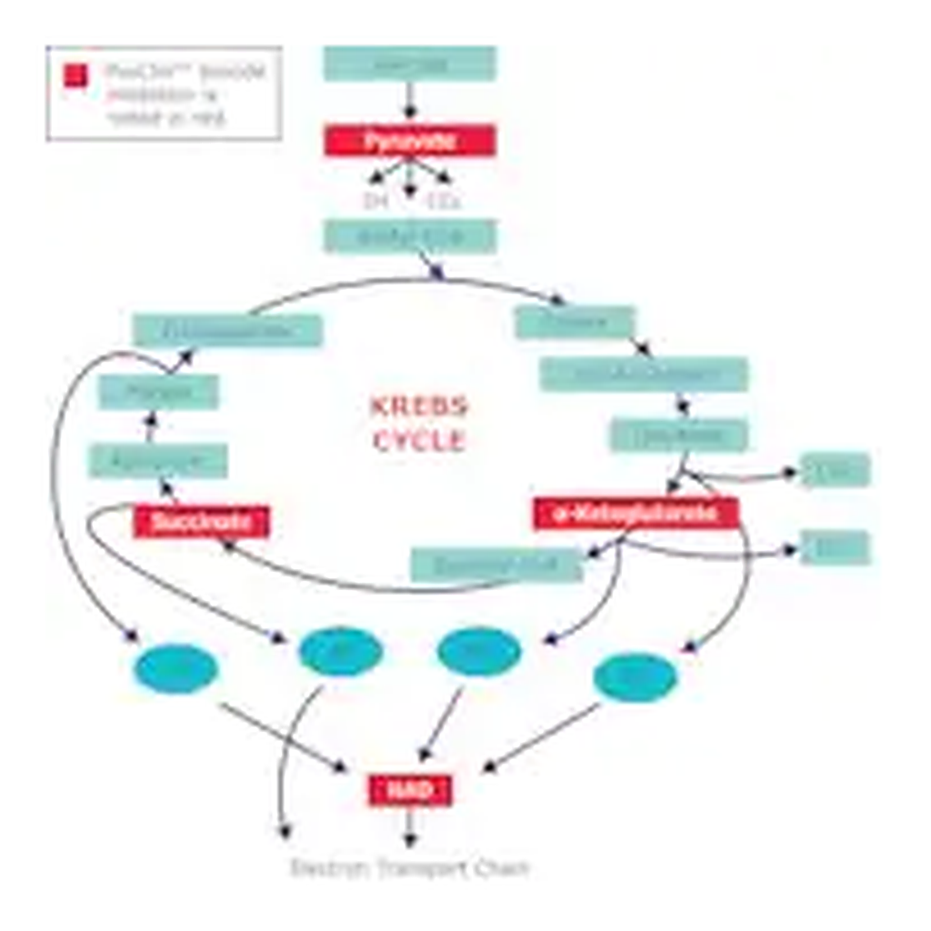 Merck ProClin Variety Kit