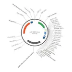 Merck PSF-CMV-AMP - CMV PROMOTER PLASMID