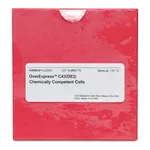 Merck OverExpress C43(DE3) Chemically Competent Cells