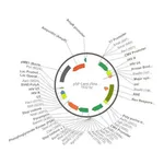 Merck PSF-LENTI - LENTIVIRUS PUROMYCIN CMV PLASMID