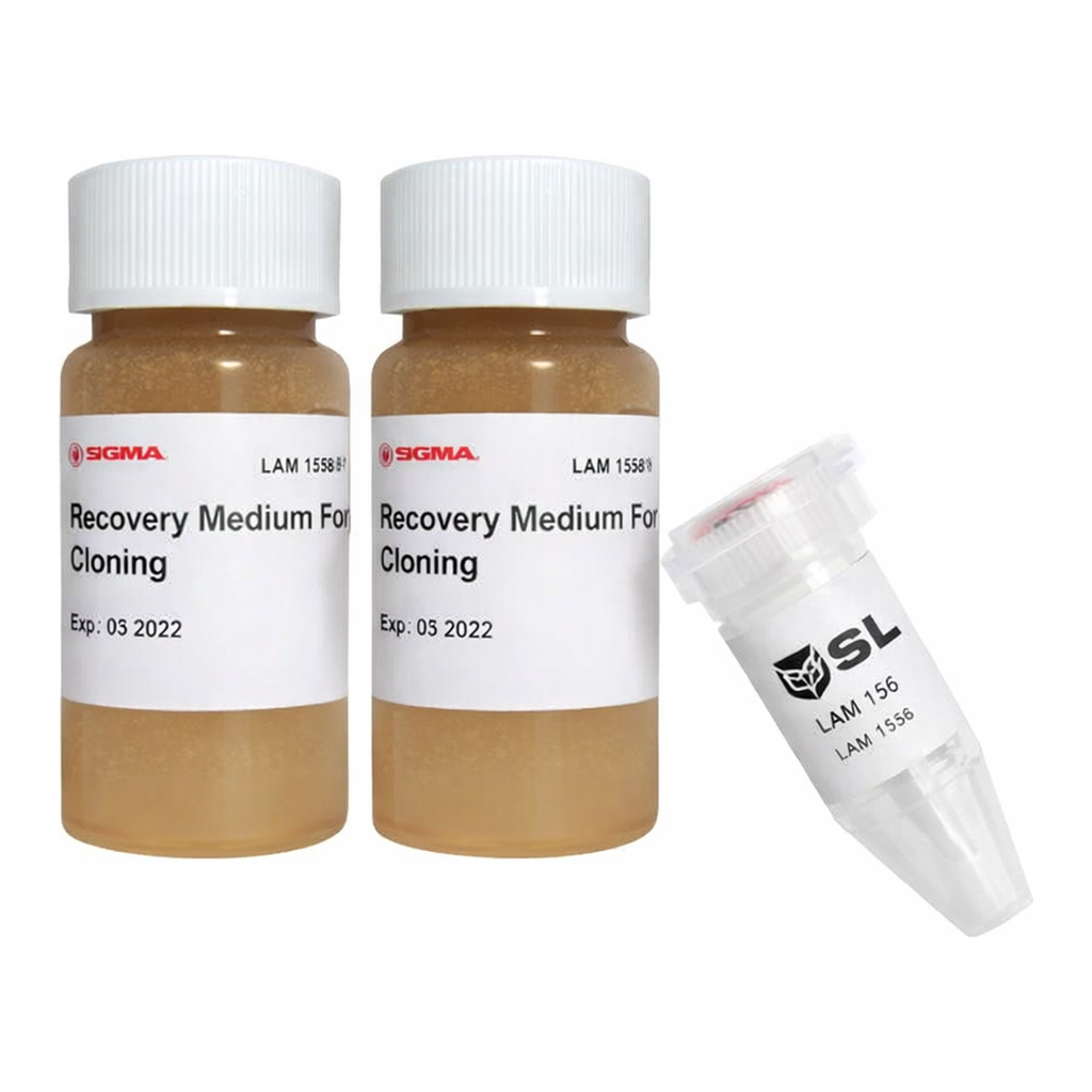Merck BL21(DE3) Chemically Competent Cells