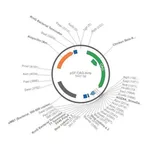 Merck PSF-CAG-AMP - CAG PROMOTER PLASMID