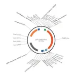 Merck PSF-OXB20-FLUC - BACTERIAL LUCIFERASE PLASMID