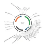 Merck PSF-UB - UBIQUITIN PROMOTER EXPRESSION PLASMID