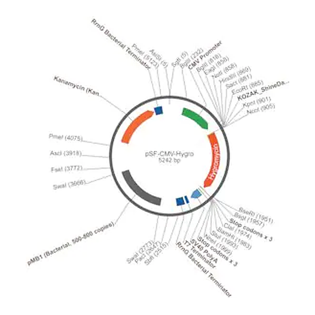Merck PSF-CMV-HYGRO - CMV DRIVEN HYGROMYCIN RESISTANT VECTOR