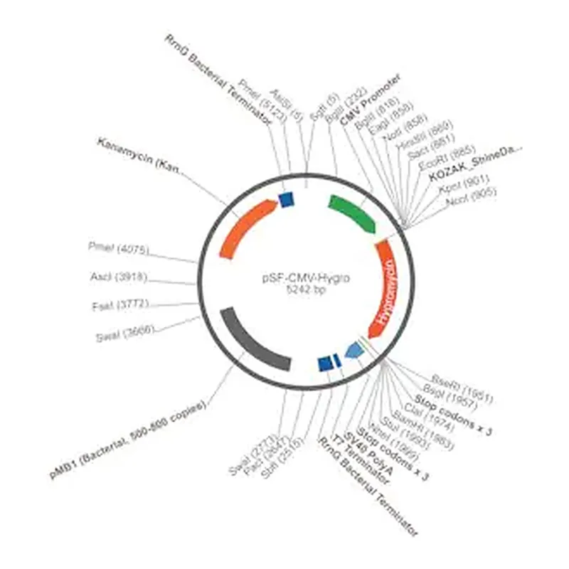 Merck PSF-CMV-HYGRO - CMV DRIVEN HYGROMYCIN RESISTANT VECTOR