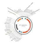 Merck PSF-OXB20-BETAGAL - BACTERIAL BETA GALACTOSIDASE PLASMID