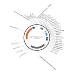 Merck PSF-OXB20-COOH-TEV-10HIS - C-TERMINAL 10HIS TAG BACTERIAL PLASMID