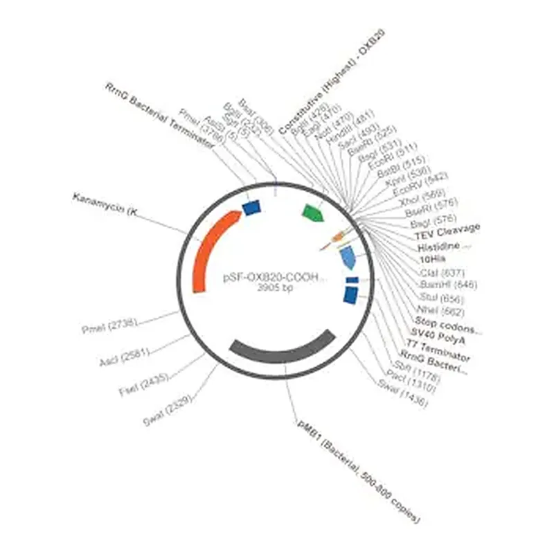 Merck PSF-OXB20-COOH-TEV-10HIS - C-TERMINAL 10HIS TAG BACTERIAL PLASMID