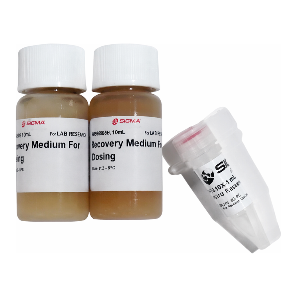 Merck CONTROLLER BL21(DE3) Chemically Competent Cells