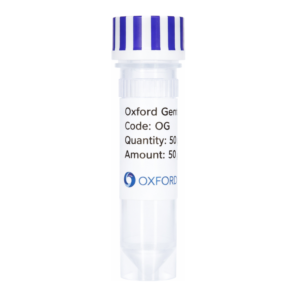 Merck PSF-TEF1-COOH-TEV-MBP - C-TERMINAL MBP TAG YEAST PLASMID