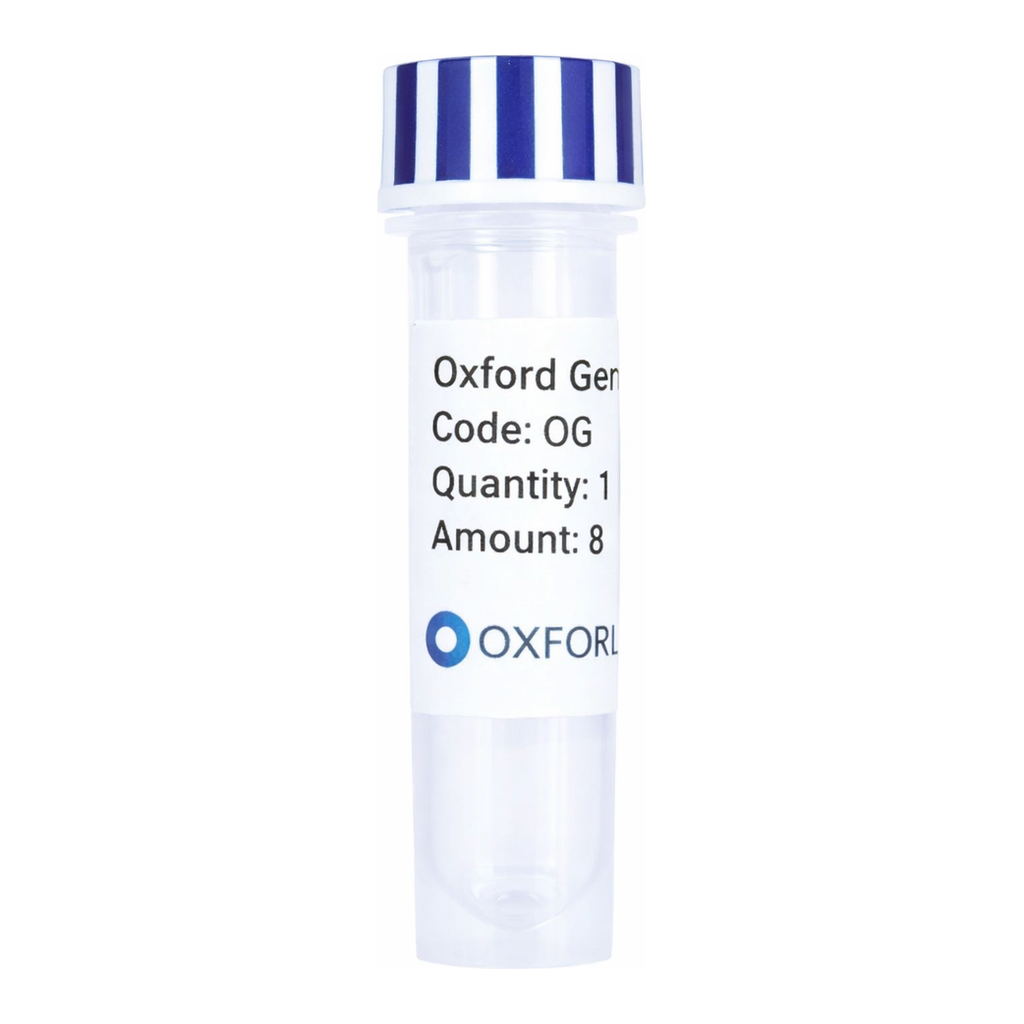 Merck PSF-TEF1-COOH-THR-V5 - C-TERMINAL V5 TAG YEAST PLASMID