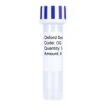 Merck PSF-TEF1-COOH-EKT-FLAG - C-TERMINAL FLAG TAG YEAST PLASMID