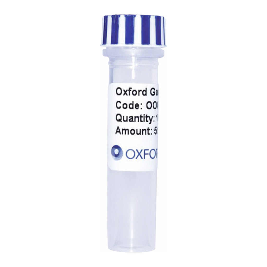 Merck PSF-TEF1-COOH-EKT-6HIS-V5 - C-TERMINAL V5 AND 6 HIS DUAL TAG YEAST PLASMID