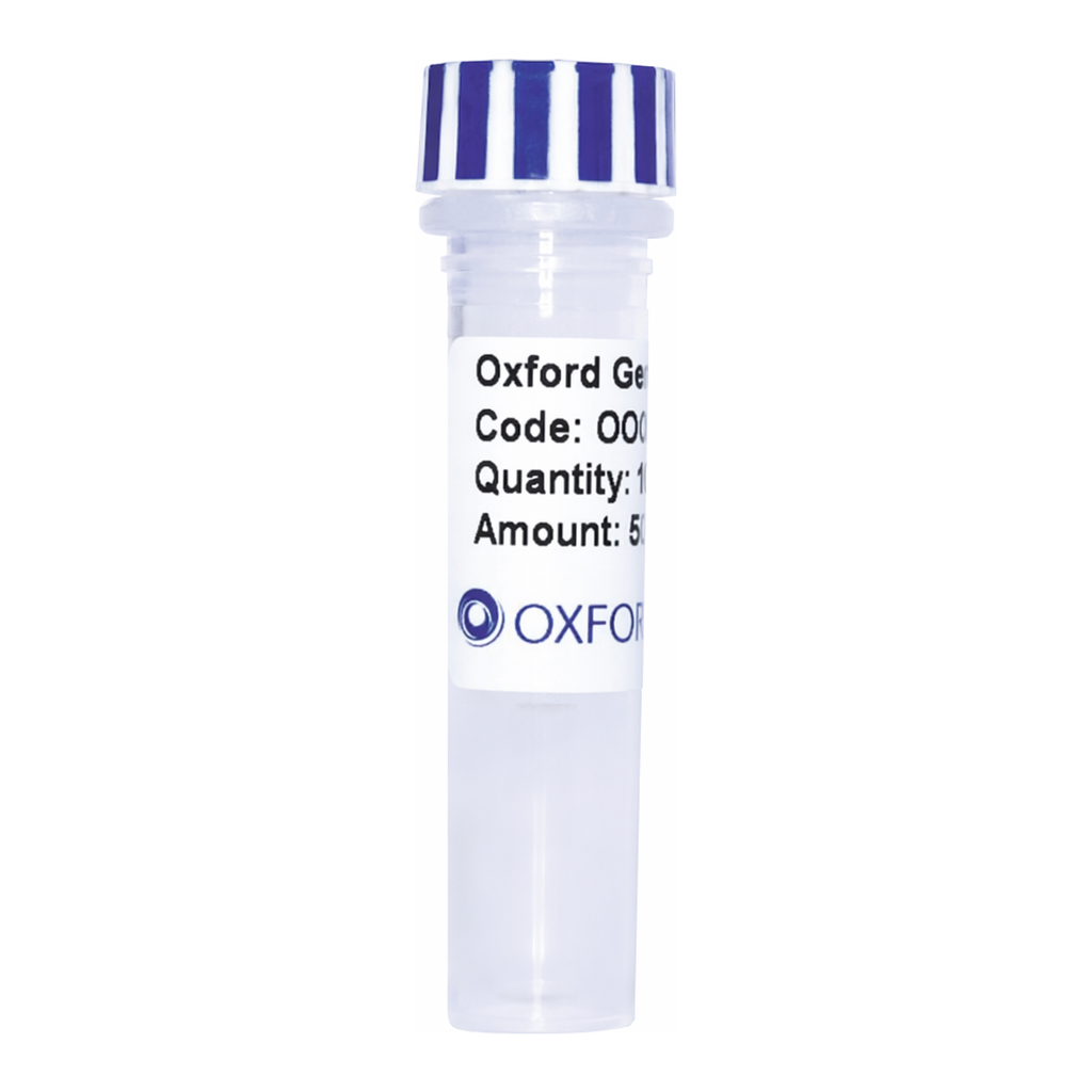 Merck PSF-TEF1-COOH-3C-V5-6HIS - C-TERMINAL 6 HIS AND V5 DUAL TAG YEAST PLASMID