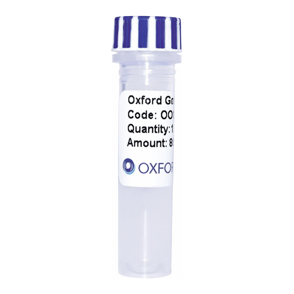 Merck PSF-TEF1-COOH-EKT-V5 - C-TERMINAL V5 TAG YEAST PLASMID