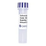 Merck PSF-TEF1-COOH-EKT-V5 - C-TERMINAL V5 TAG YEAST PLASMID