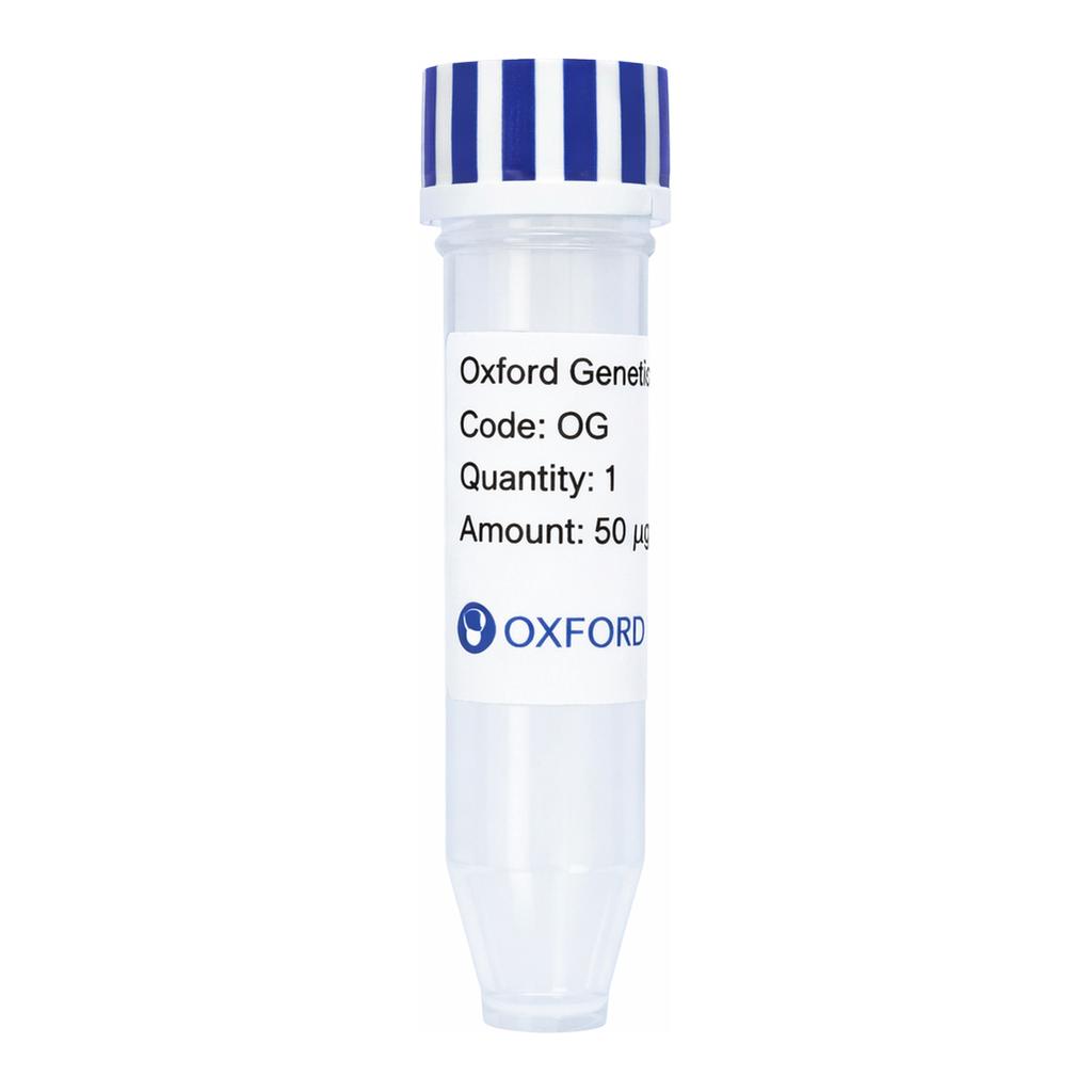 Merck PSF-TEF1-COOH-10HIS - C-TERMINAL 10HIS TAG YEAST PLASMID