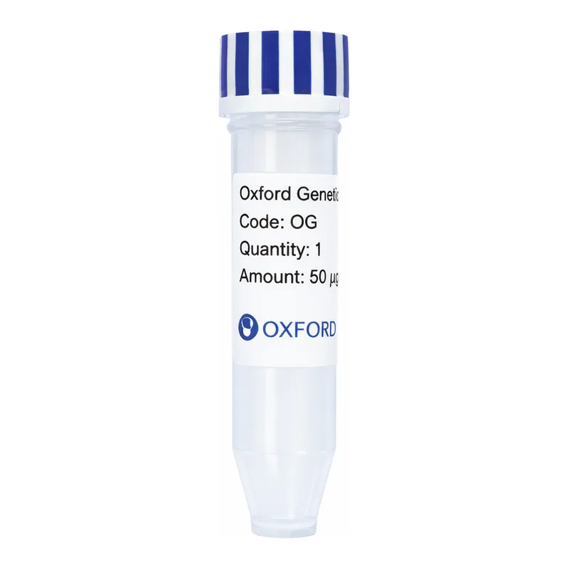 Merck PSF-TEF1-COOH-10HIS - C-TERMINAL 10HIS TAG YEAST PLASMID