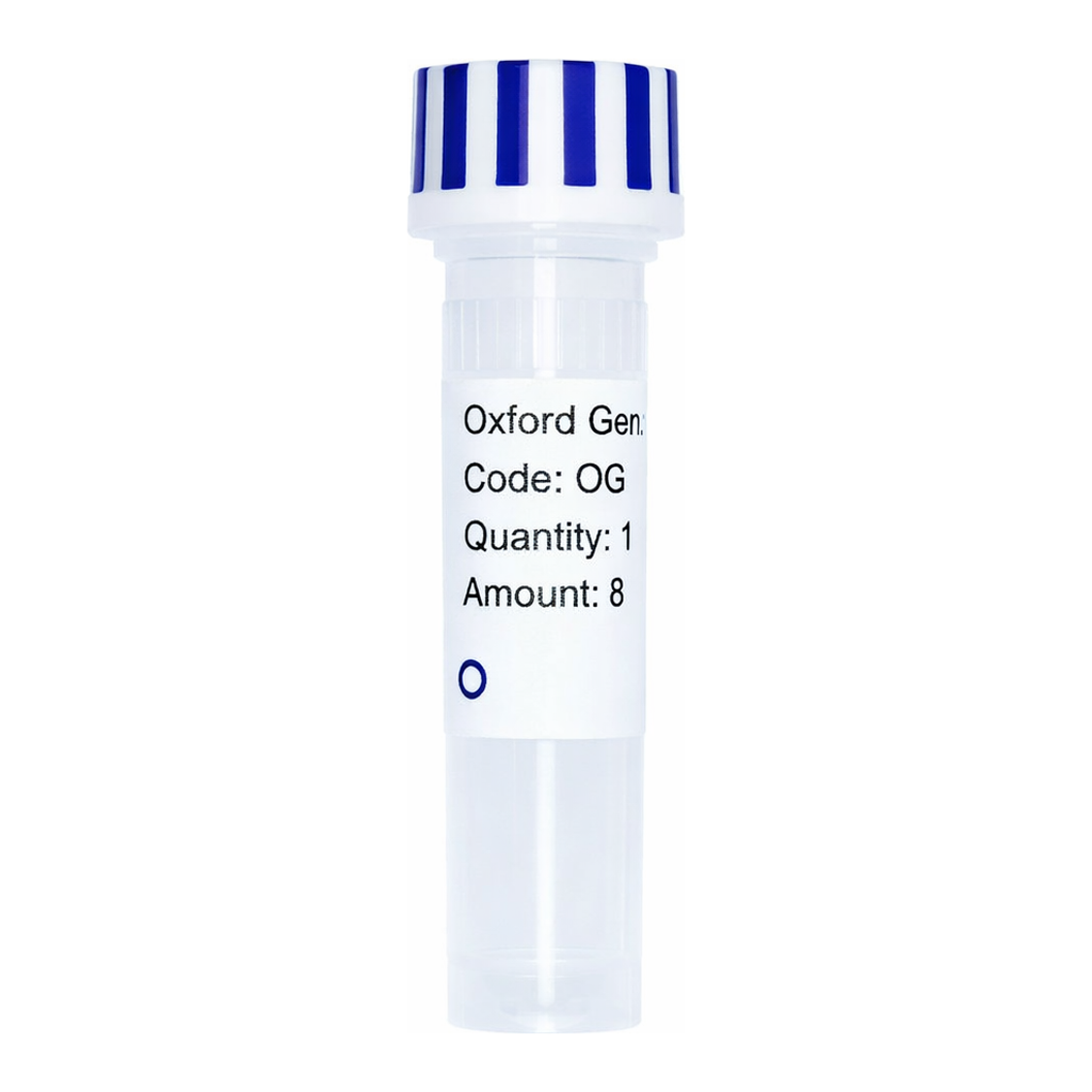 Merck PSF-TEF1-COOH-V5 - C-TERMINAL V5 TAG YEAST PLASMID