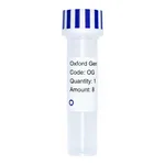 Merck PSF-TEF1-COOH-V5 - C-TERMINAL V5 TAG YEAST PLASMID