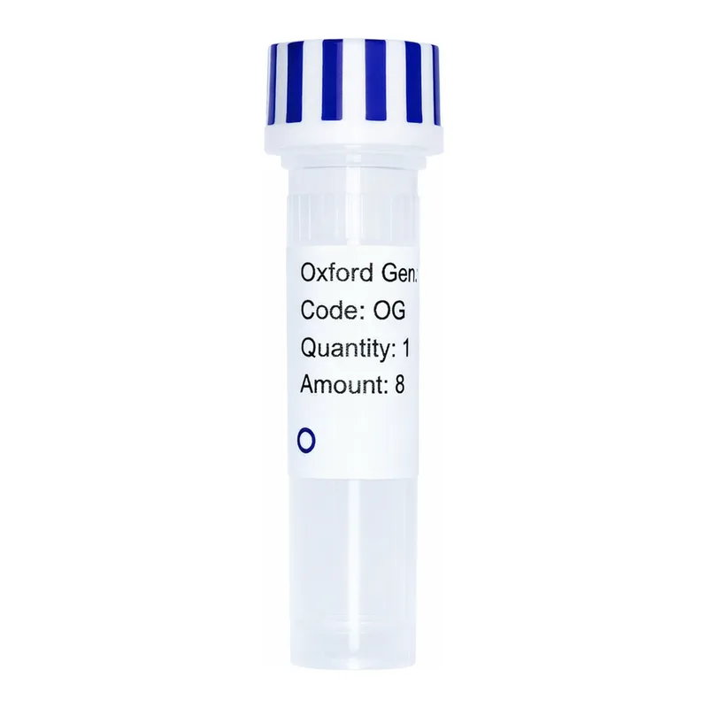 Merck PSF-TEF1-COOH-V5 - C-TERMINAL V5 TAG YEAST PLASMID