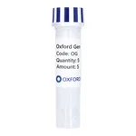 Merck PSF-TEF1-COOH-T7 - C-TERMINAL T7 TAG YEAST PLASMID