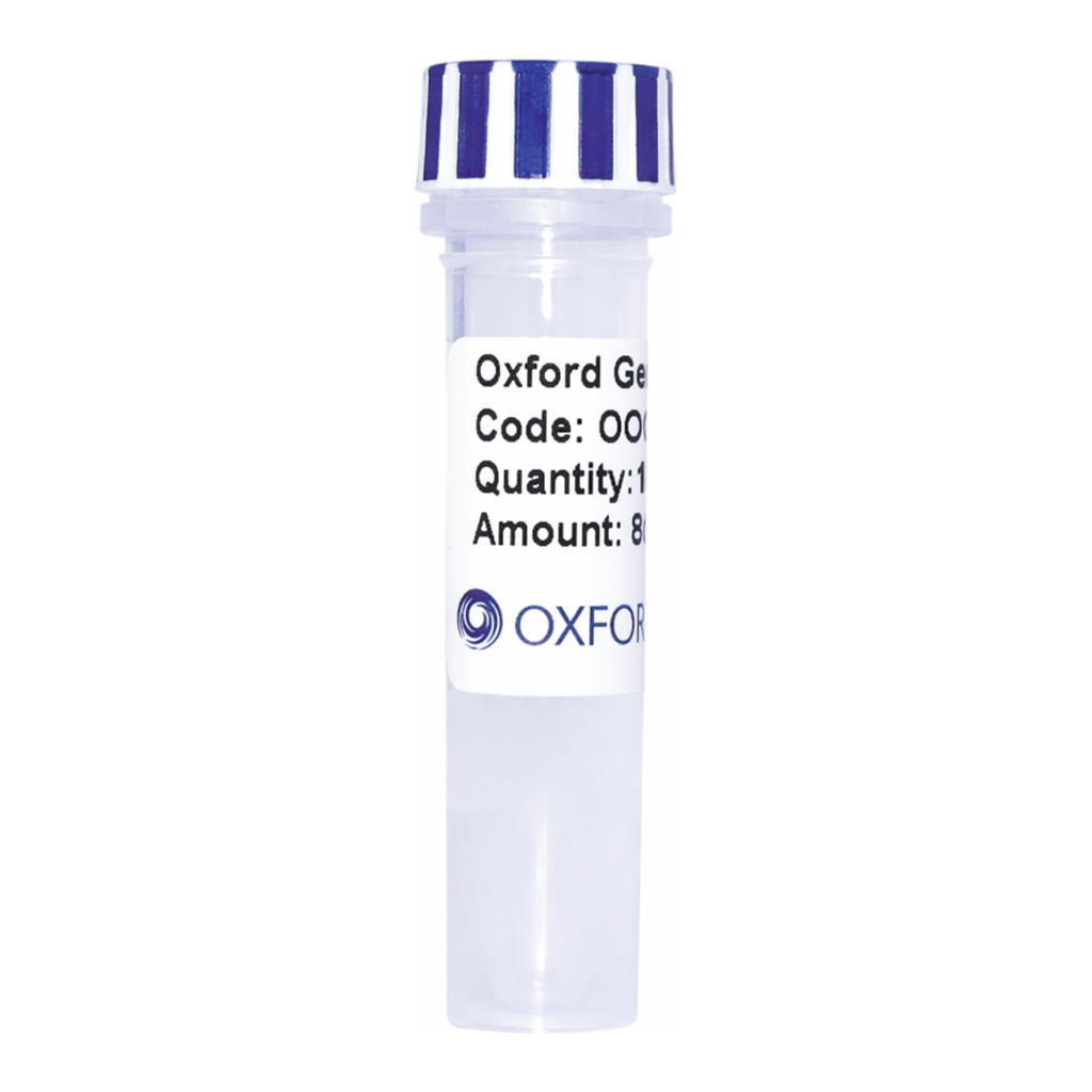Merck PSF-OXB20-COOH-TEV-V5 - C-TERMINAL V5 TAG BACTERIAL PLASMID