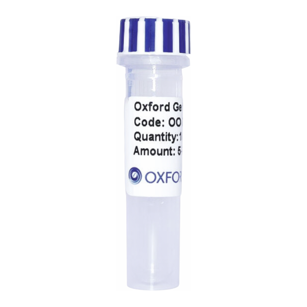 Merck PSF-TEF1-COOH-MBP - C-TERMINAL MBP TAG YEAST PLASMID