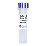 Merck PSF-TEF1-COOH-MBP - C-TERMINAL MBP TAG YEAST PLASMID