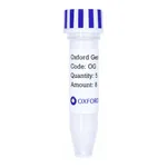 Merck PSF-TEF1-COOH-GST - C-TERMINAL GST TAG YEAST PLASMID