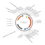 Merck PSF-MINPROM-SEAP - MINIMAL PROMOTER SEAP PLASMID
