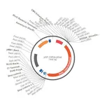 Merck PSF-CMVE-BETA-D96GAL - CMV ENHANCER BETA GAL PLASMID