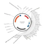 Merck PSF-CMVE - CMV ENHANCER EXPRESSION PLASMID