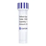 Merck PSF-MINPROM-DAGFP - MINIMAL PROMOTER GFP PLASMID