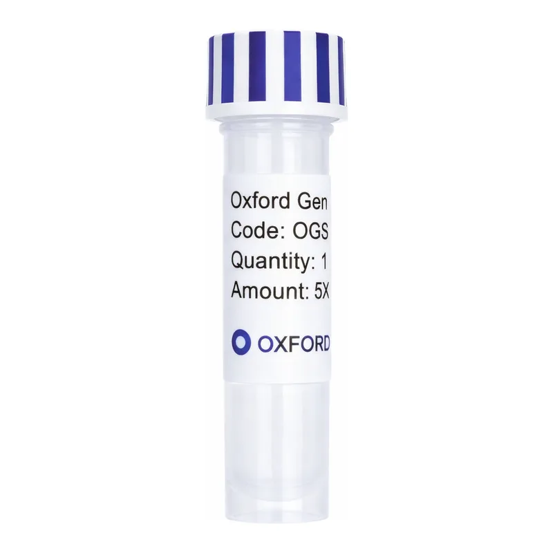 Merck PSF-MINPROM-DAGFP - MINIMAL PROMOTER GFP PLASMID