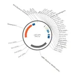 Merck PSF-SP6 - SP6 PROMOTER PLASMID