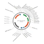 Merck PSF-CMV-PGK-RLUC - DUAL PROMOTER LUCIFERASE PLASMID