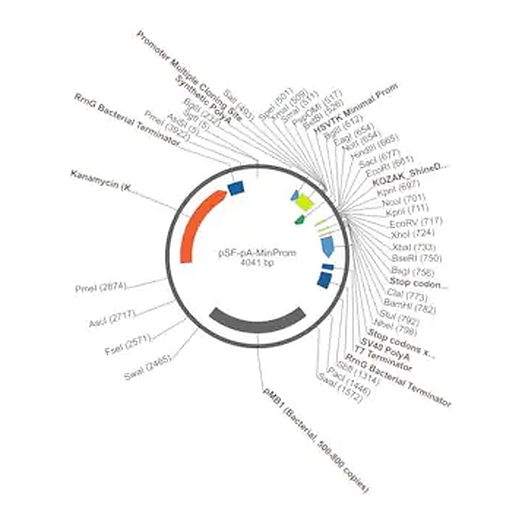 Merck PSF-PA-MINPROM - MINIMAL PROMOTER PLASMID
