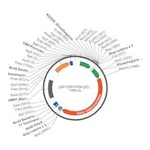 Merck PSF-CMV-PGK-?GAL - DUAL PROMOTER BETA GAL PLASMID