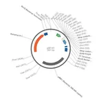 Merck PSF-H1 - SIRNA/RNAI EXPRESSION PLASMID