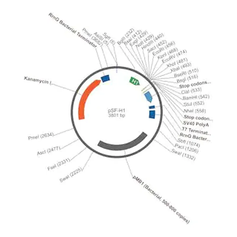 Merck PSF-H1 - SIRNA/RNAI EXPRESSION PLASMID