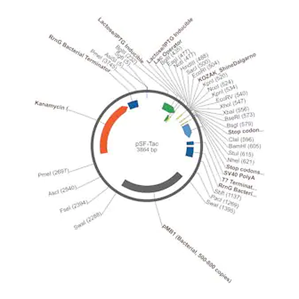 Merck PSF-TAC - PTAC INDUCIBLE BACTERIAL PLASMID