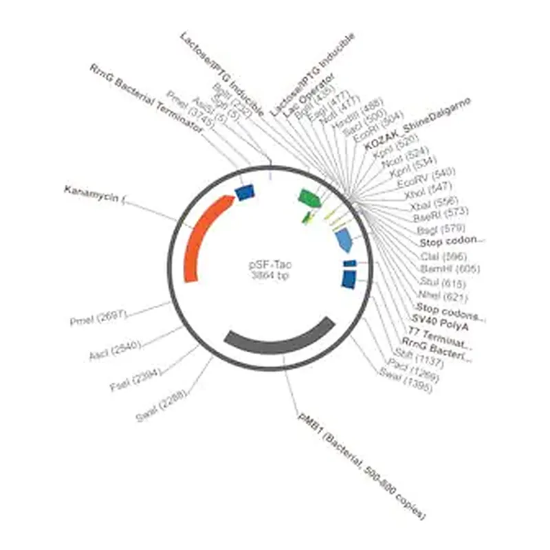 Merck PSF-TAC - PTAC INDUCIBLE BACTERIAL PLASMID