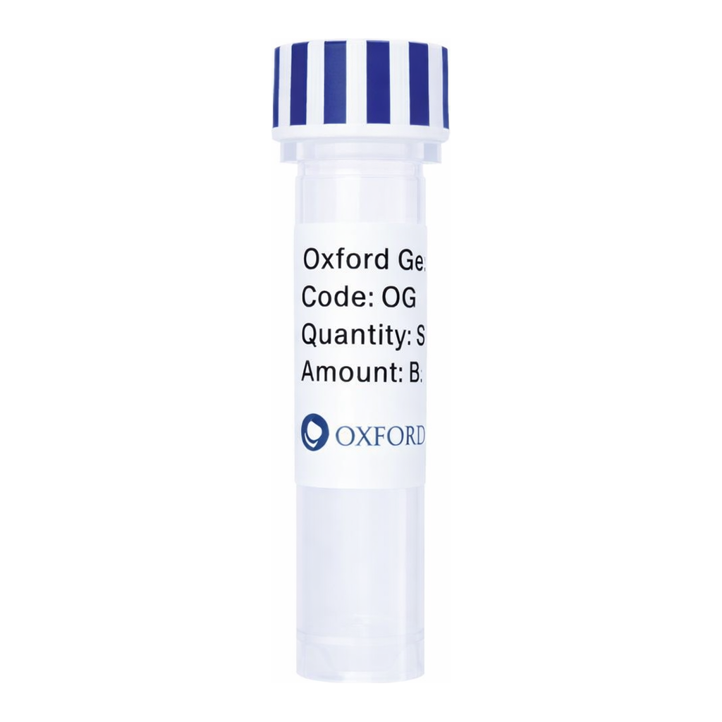 Merck PSF-TEF1-COOH-EKT-CMYC - C-TERMINAL CMYC TAG YEAST PLASMID