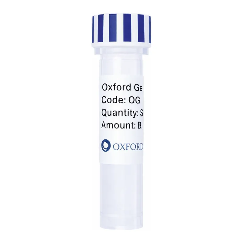 Merck PSF-TEF1-COOH-EKT-CMYC - C-TERMINAL CMYC TAG YEAST PLASMID