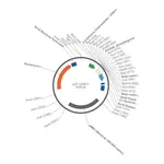Merck PSF-OXB11 - INTERMEDIATE STRENGTH BACTERIAL VECTOR