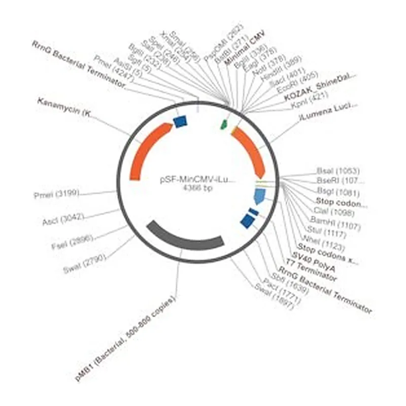 Merck PSF-MINCMV-ILUMENA - SECRETED LUCIFERASE MINIMAL CMV PLASMID