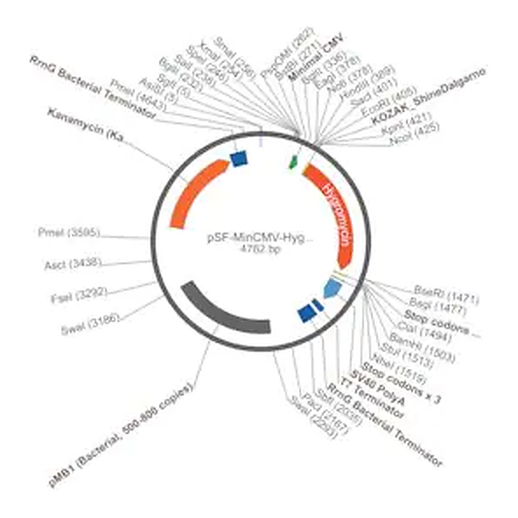 Merck PSF-MINCMV-HYGRO - HYGROMYCIN MINIMAL CMV PLASMID