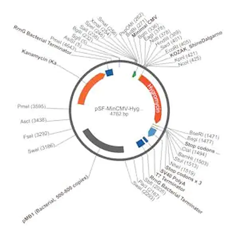 Merck PSF-MINCMV-HYGRO - HYGROMYCIN MINIMAL CMV PLASMID